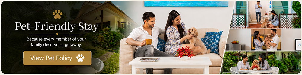 Blu Suite Pet-friendly 10 pet friendly stay banner
